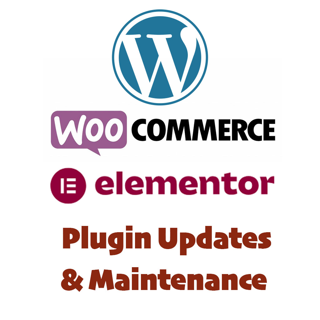 Wordpress Website Plugin Update, Maintenance and Support