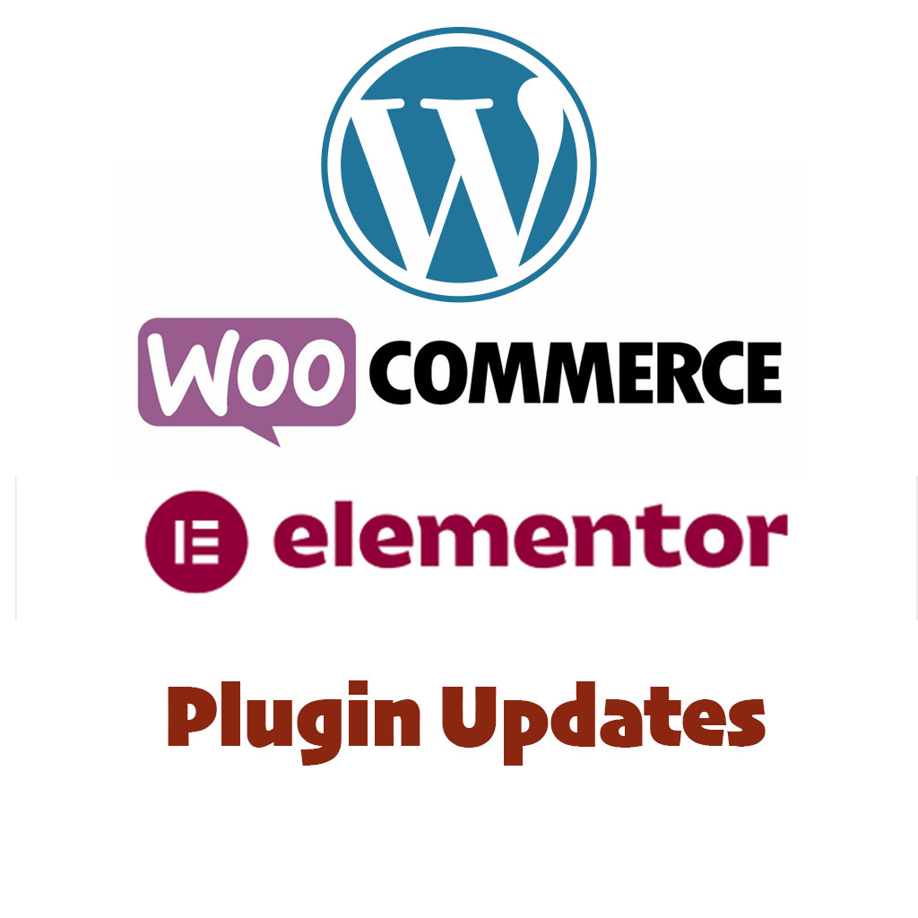 Wordpress Plugin Update and Support